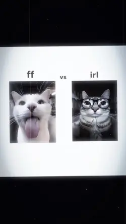 FF trend tiktok