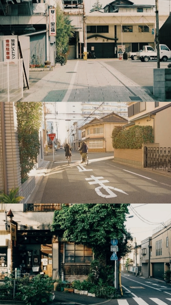 frame aesthetic