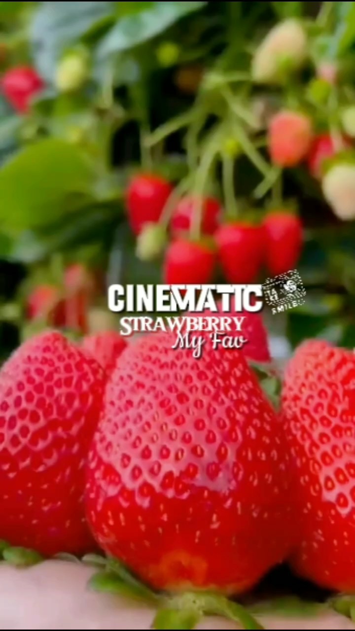 Strawberry