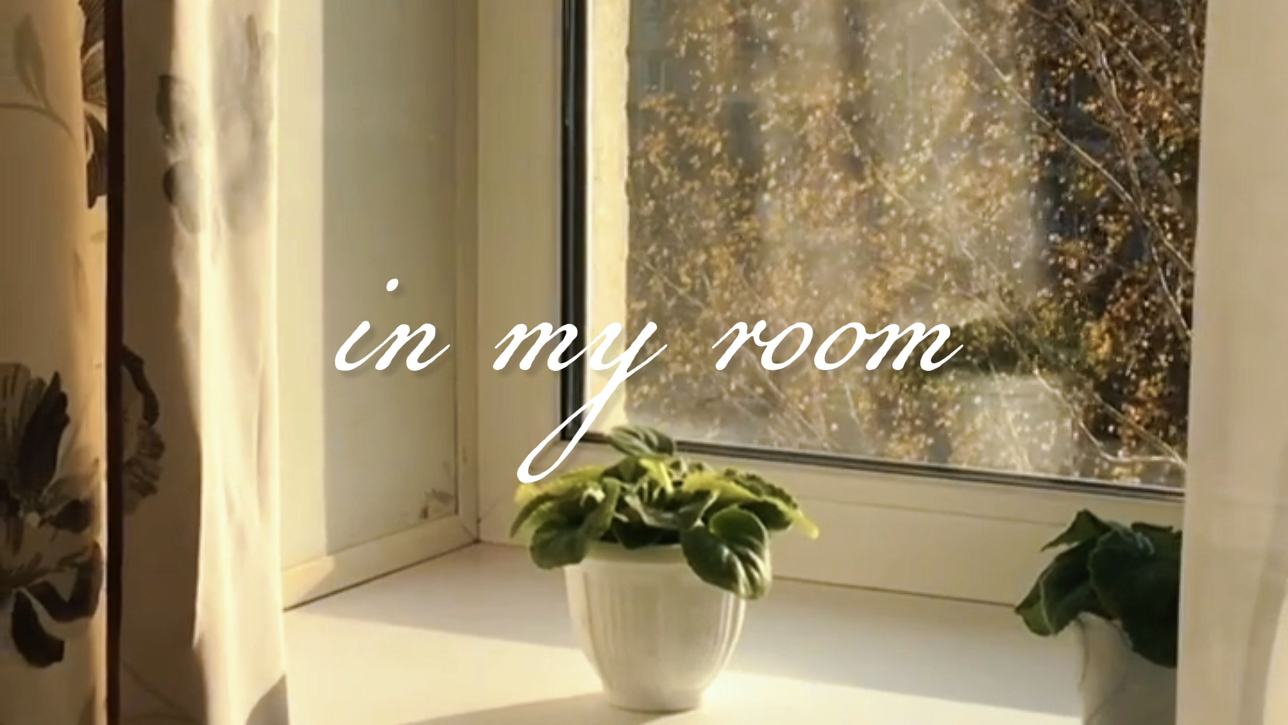 Video de la habitación