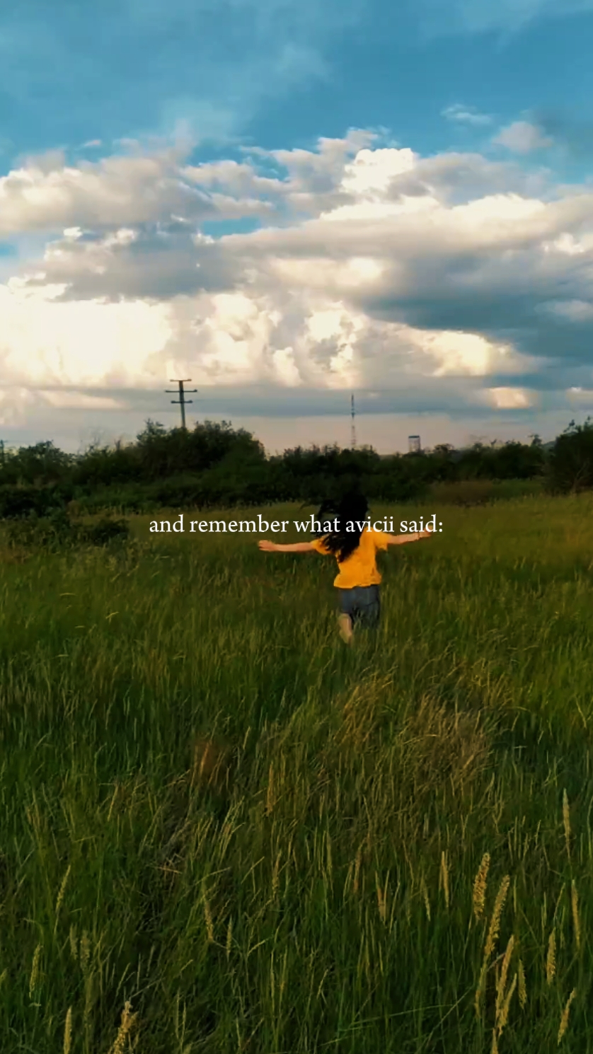 avicii said