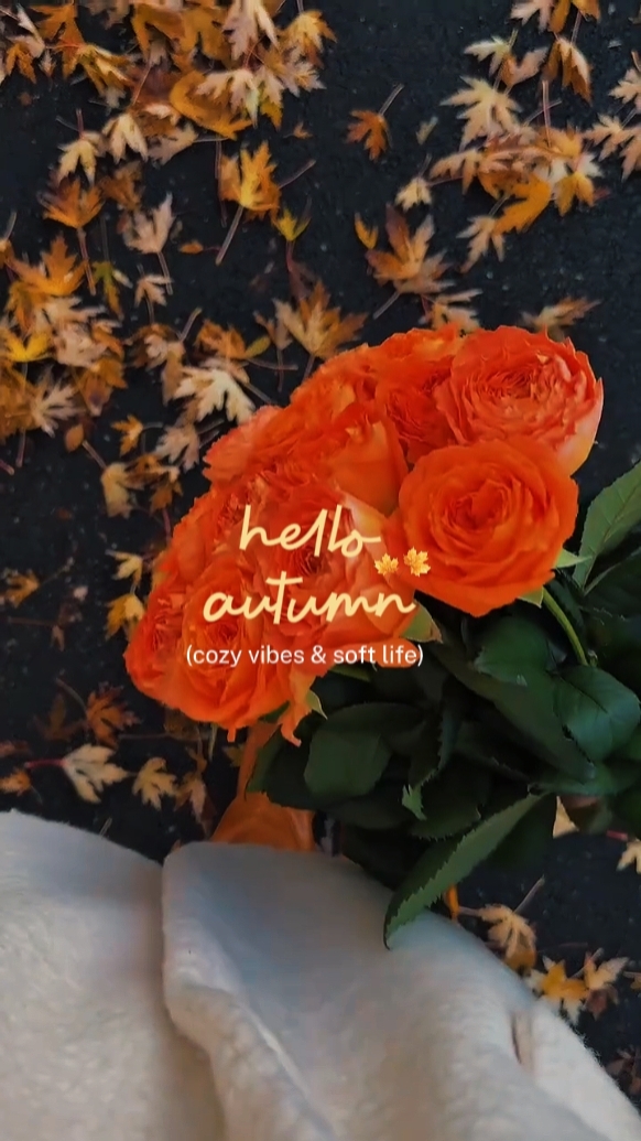 hello Autumn 
