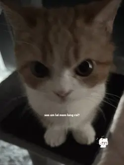 ngoại lệ của em