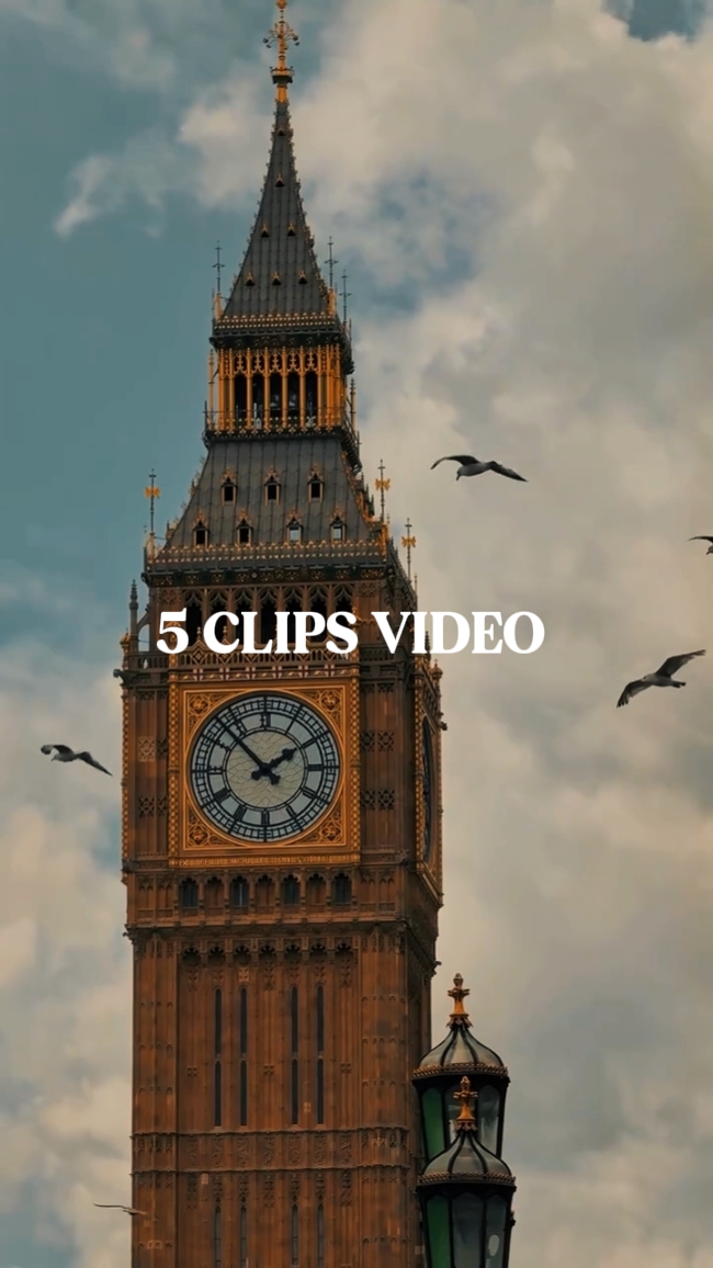 5 CLIPS DE VIDEO 