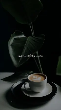 Từ Đây Từ Nay 