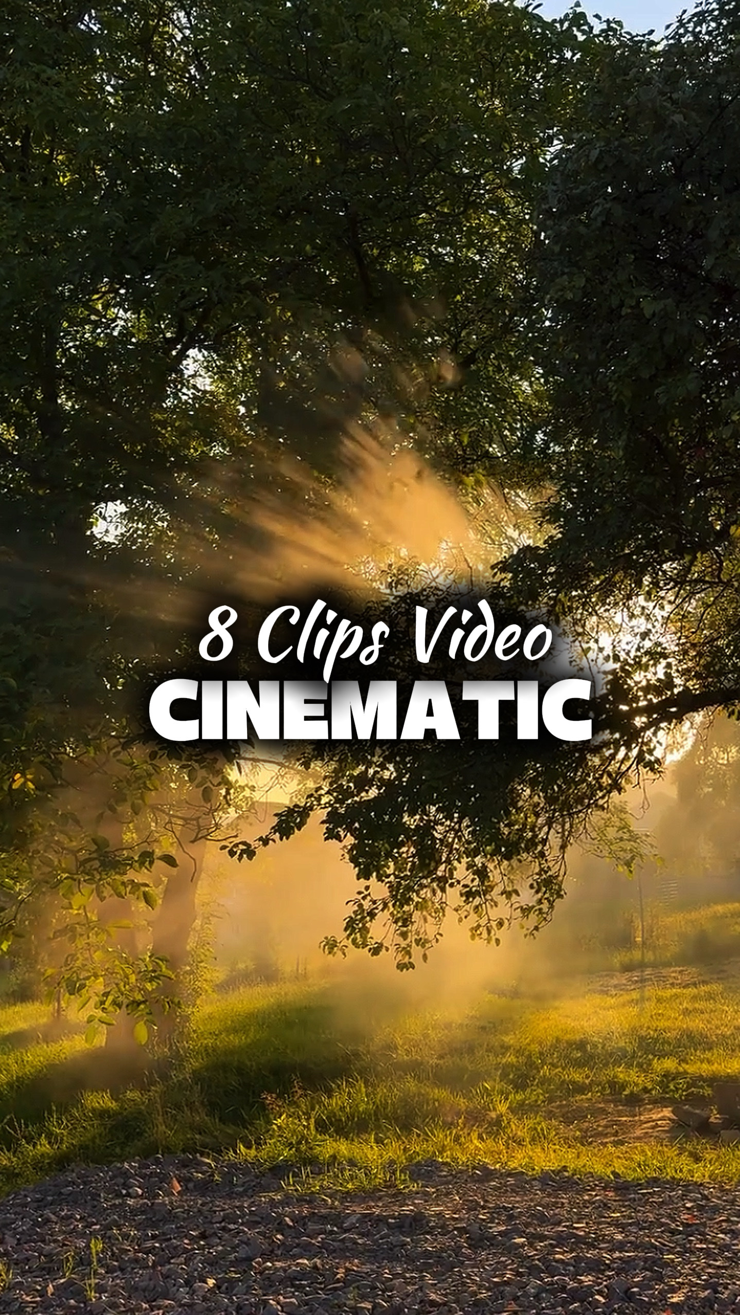 8 Vidéos Cinématiques 
