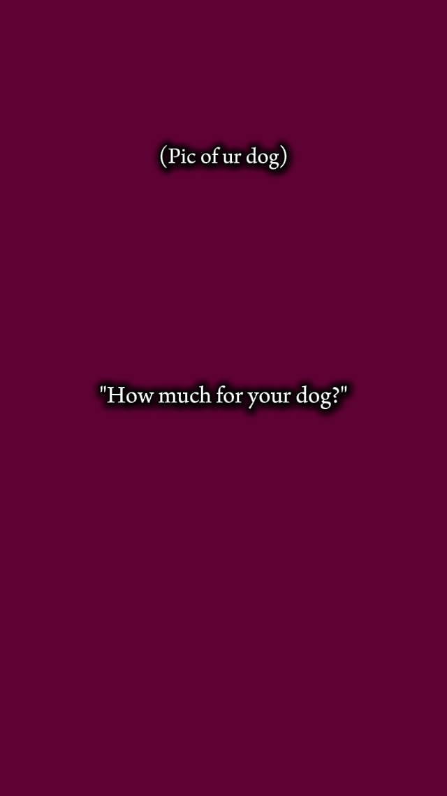 Hund