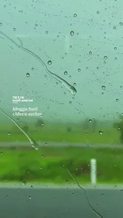 The rain
