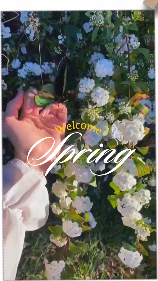 Bem-vinda Primavera