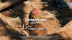 Vlog Cinematic