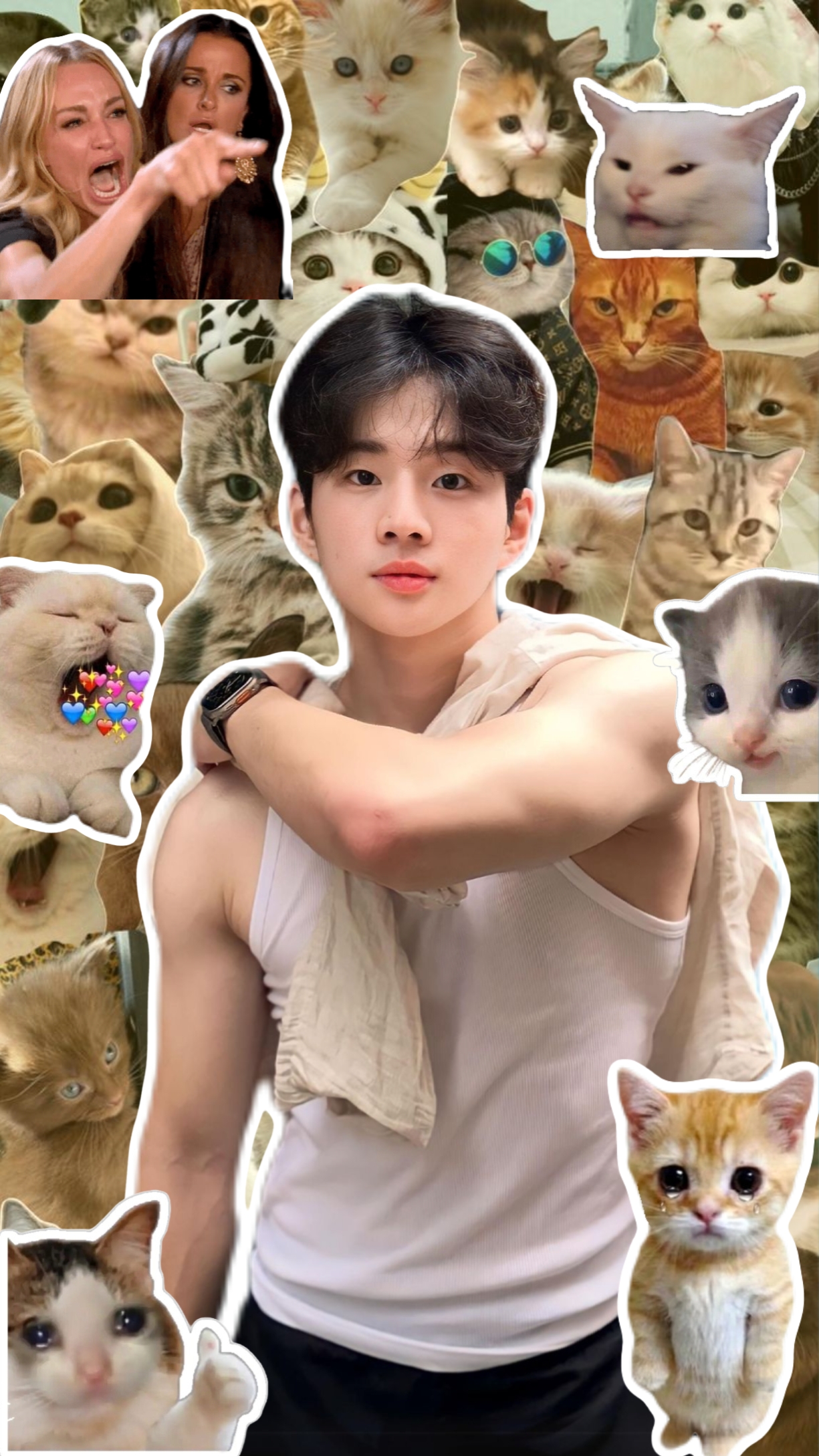 Chats mignons