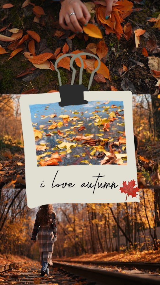 i love autumn