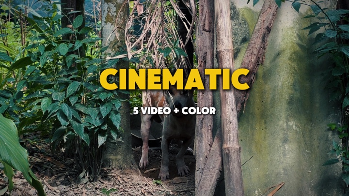 Cinematic 5 video