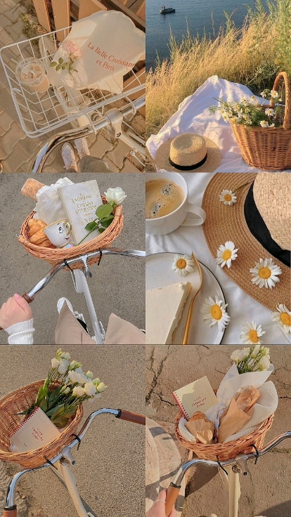 6 foto collage