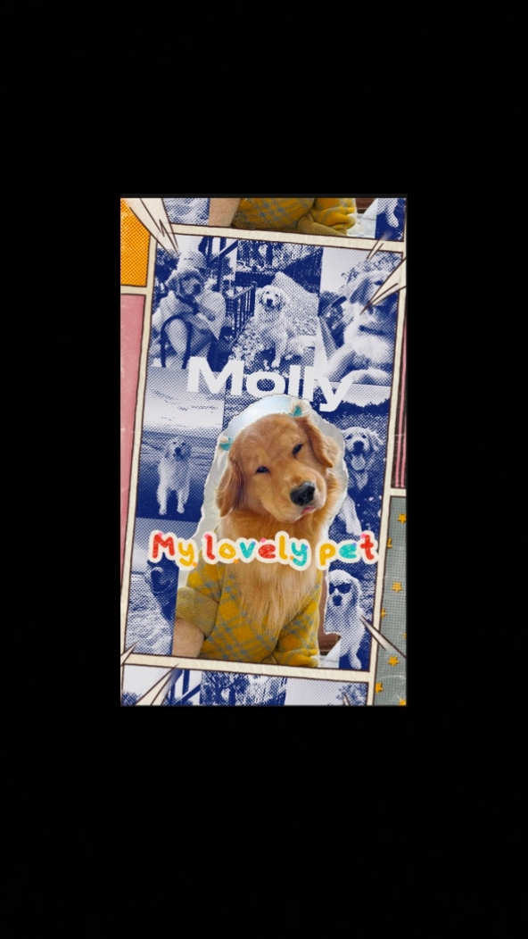 MEU LINDO ANIMAL DE ESTIMAÇÃO