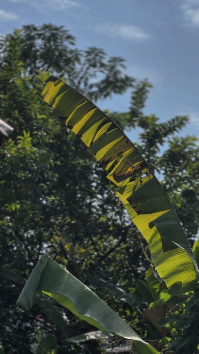 CINEMATIC SLOWMO