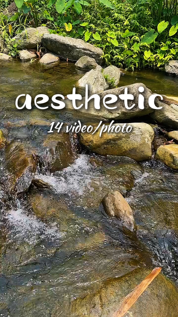 14 vidio aesthetic