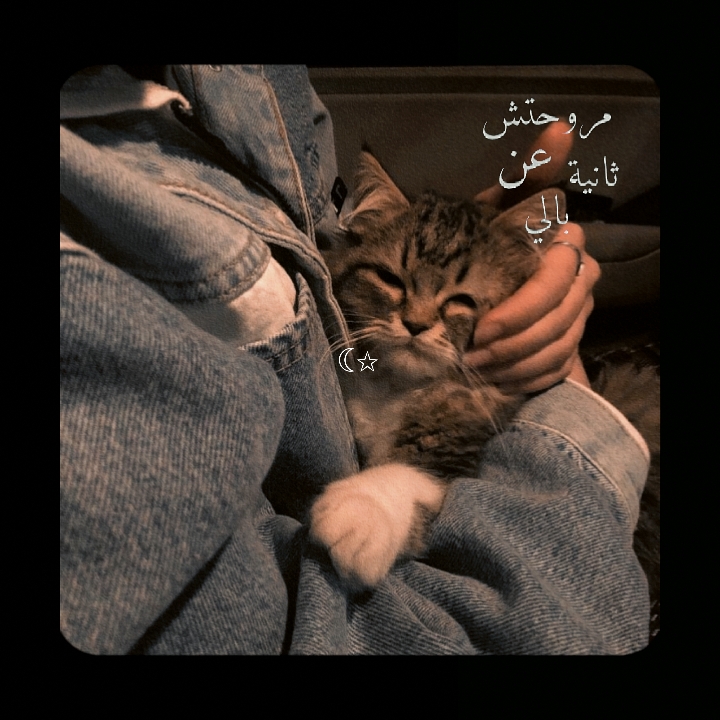 arabic 
