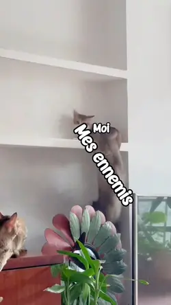 instant karma KL