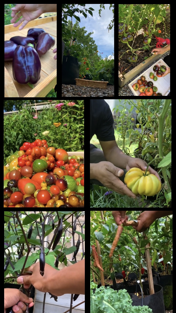 Gardening