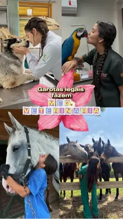 Veterinária 