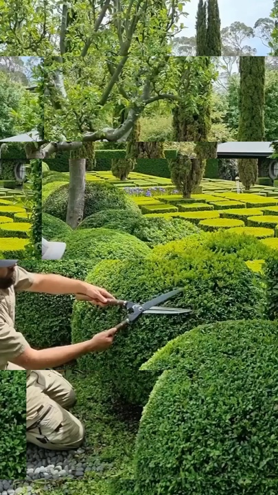 Jardinería