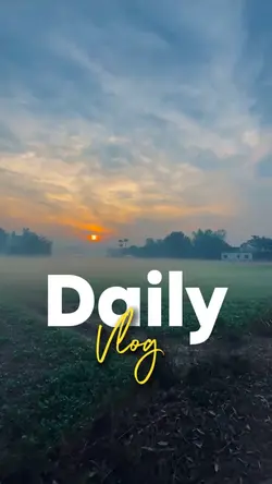 Daily Vlog