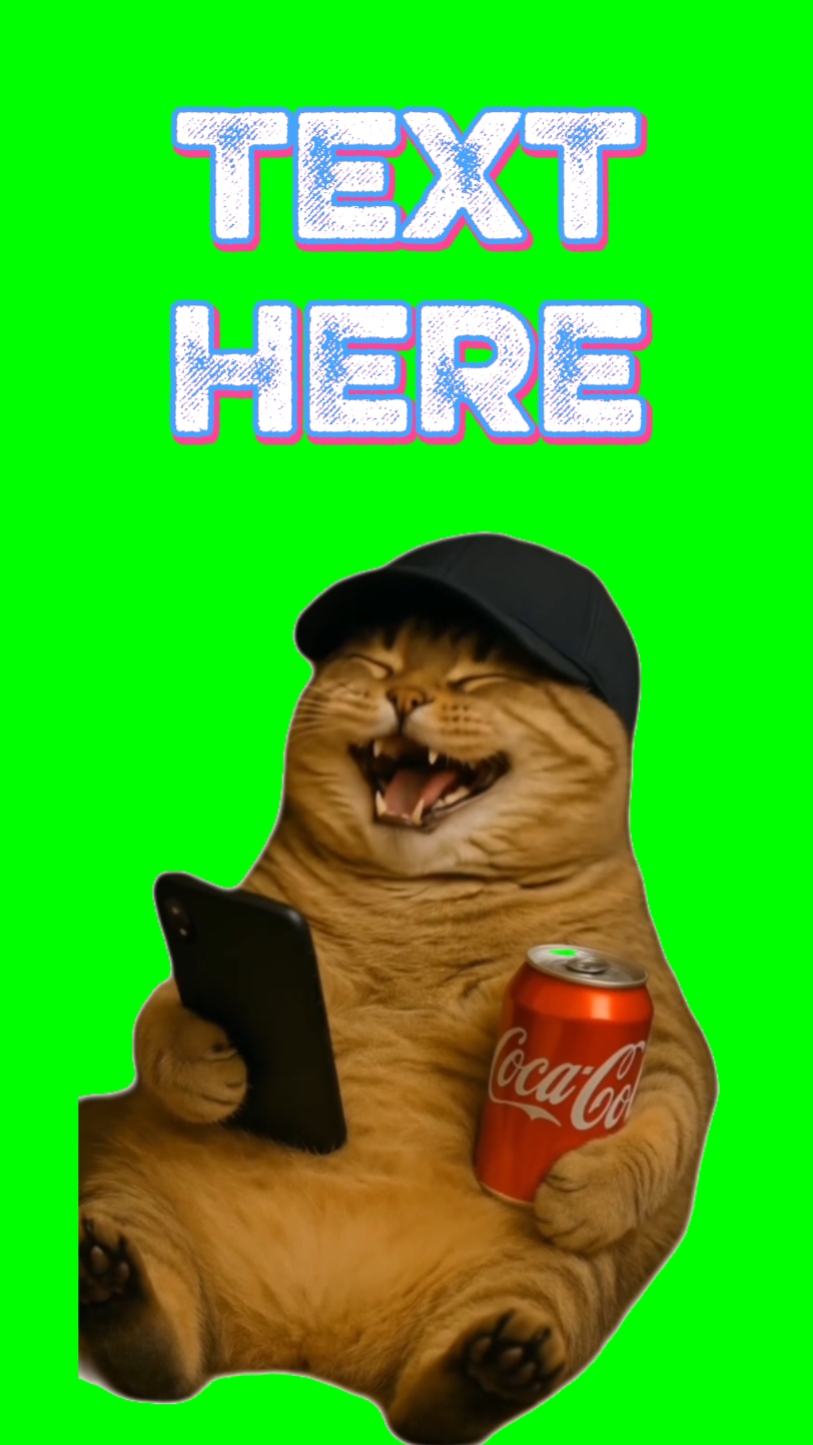 kedi gülüyor
