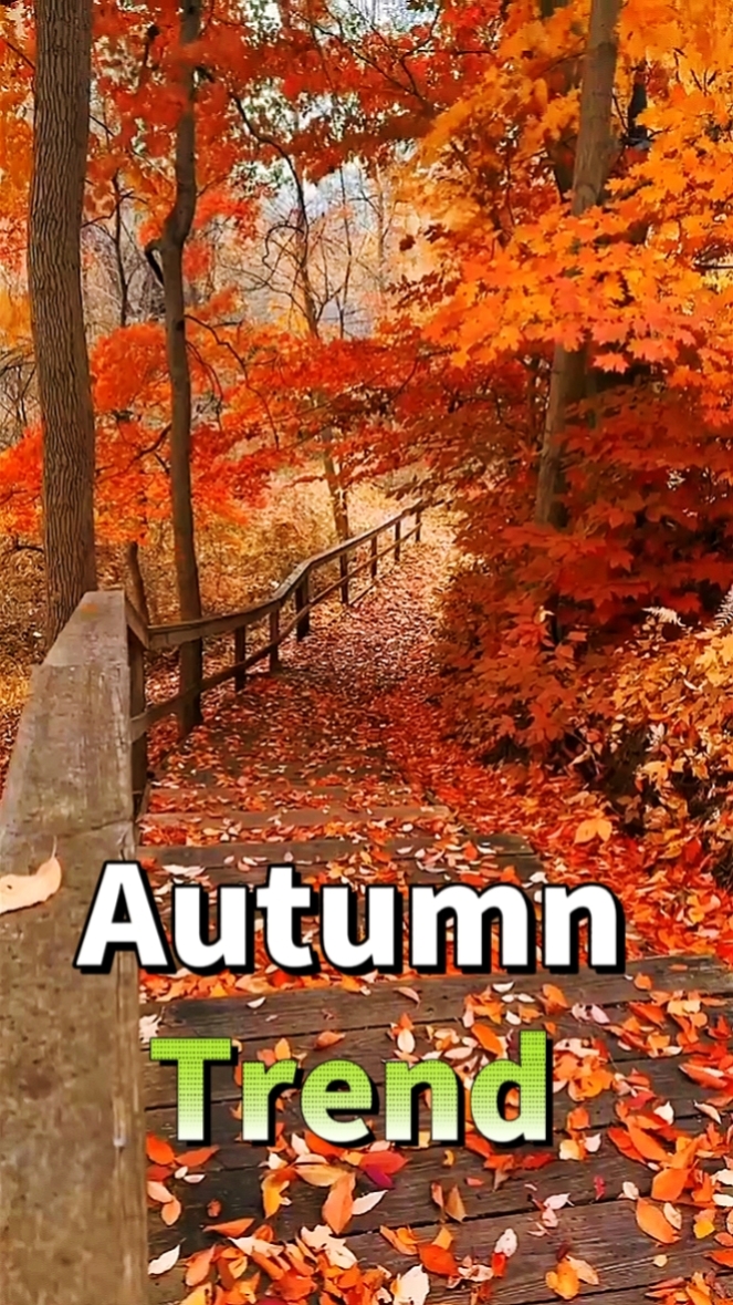 Herbsttrend 