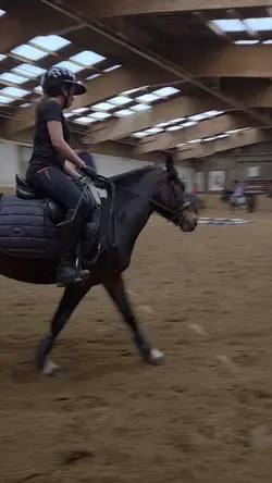 horse slowmo