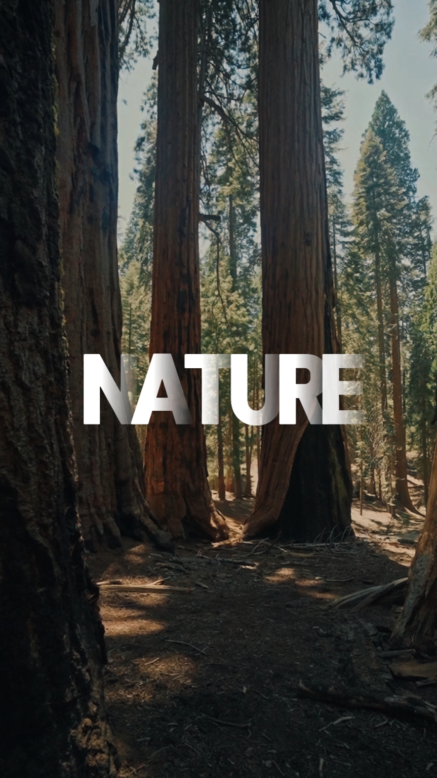 Natureza