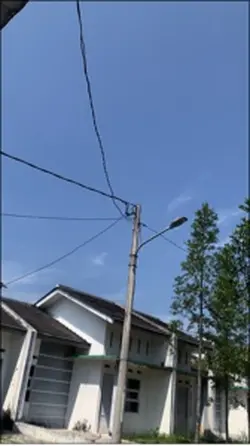 kicau mania trend 
