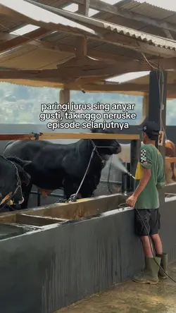 paringi jurus anyar