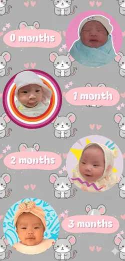 0-3 month mouse baby