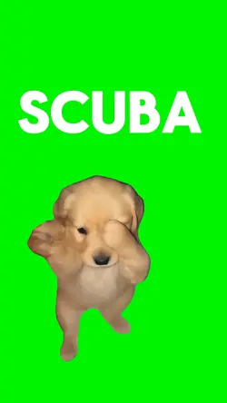 Scuba Goose