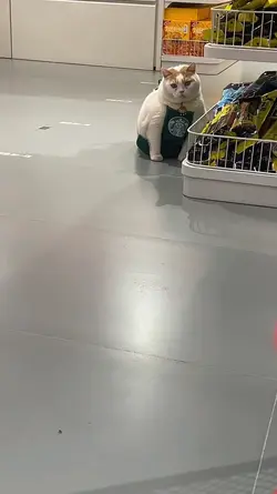Semangat Kerja