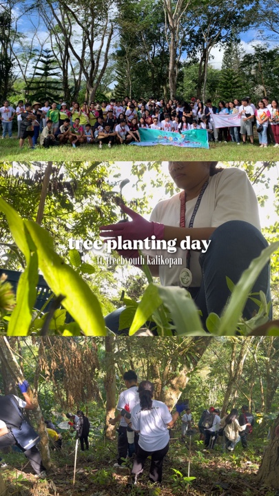tree planting vlogs
