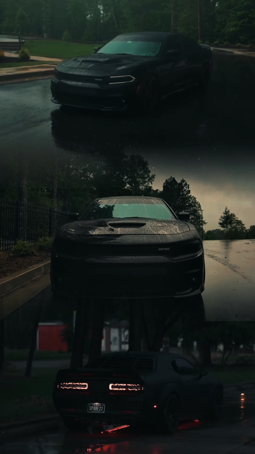 3VIDEO | CAREDIT🐺