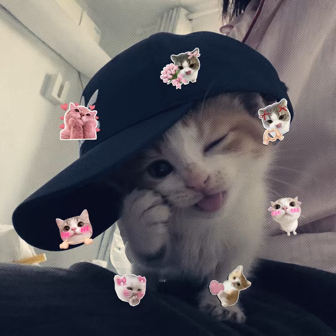 Lindo 