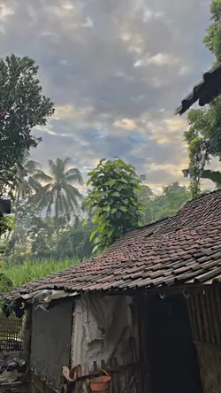 1VID BLURKANE