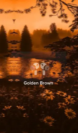 Golden brown - 8d