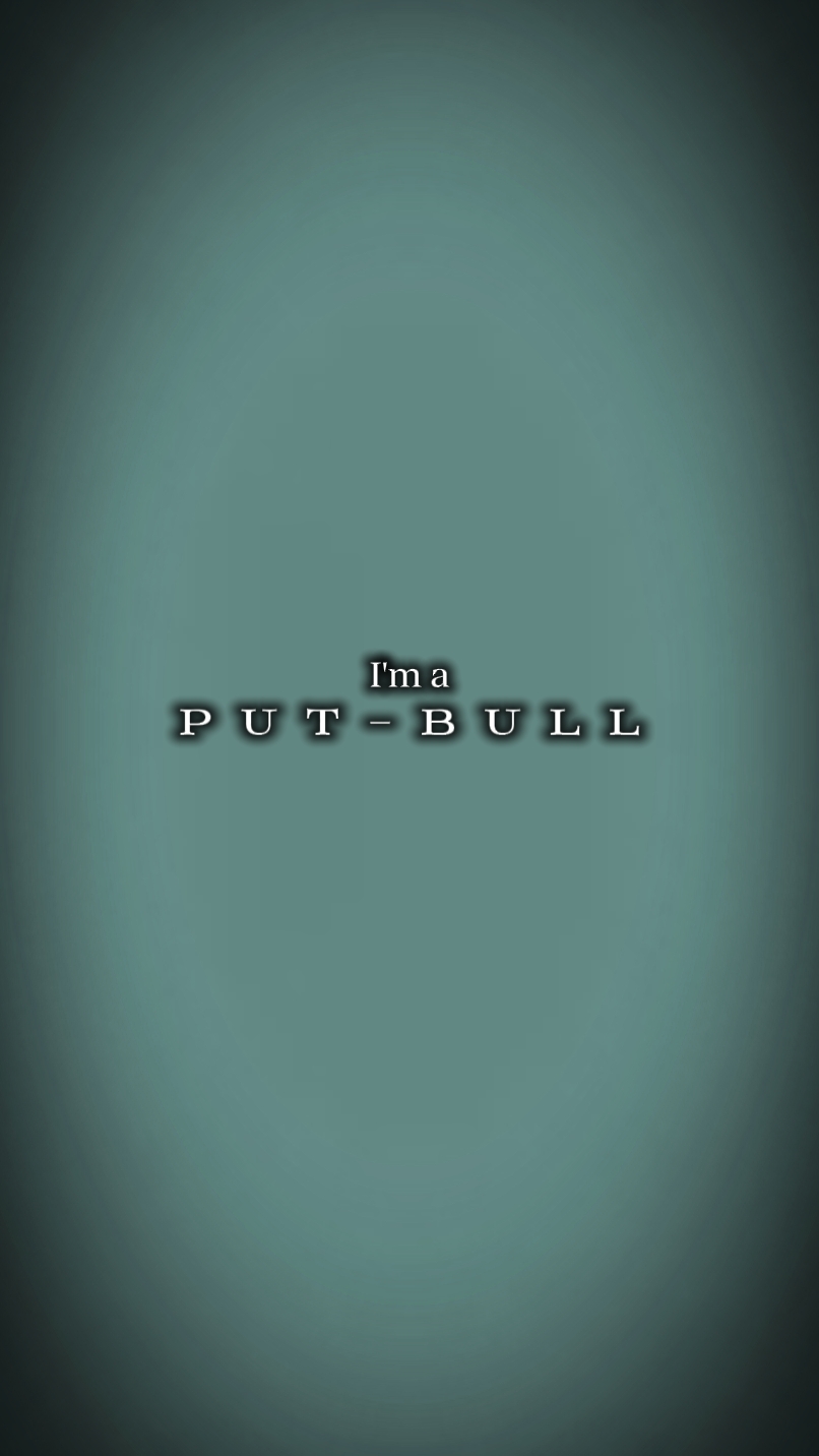 pitbull terrier