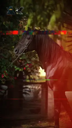 new trending Slowmo