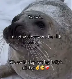 ts would be peak❤️‍🩹✌🏾