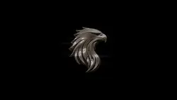 Opening your logo