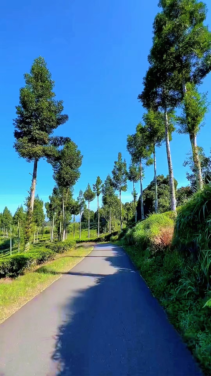 8 videoclips de carretera