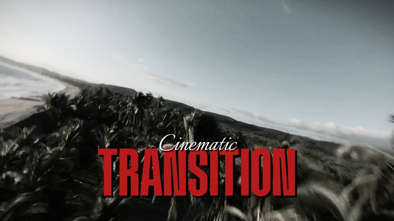 cinematic TRANSITION