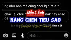 Mẫu thay 1 ảnh