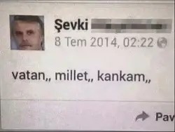 Vatanmillet