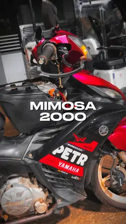 MIMOSA 2000